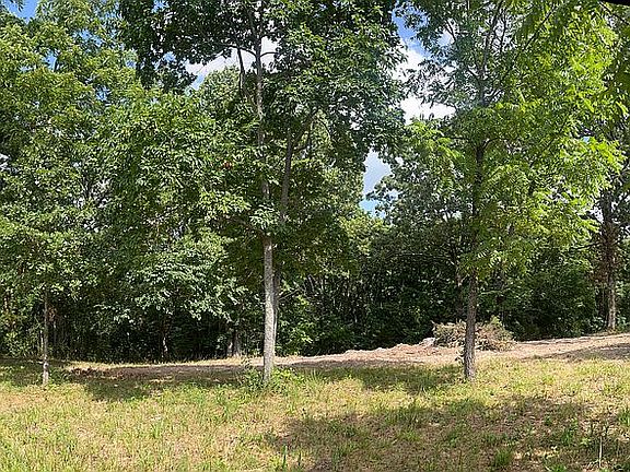 3rd image of LOT 2 Peck Rd
