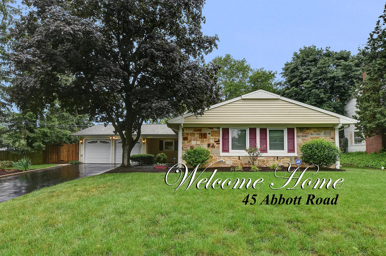 45 Abbott Rd photo 1