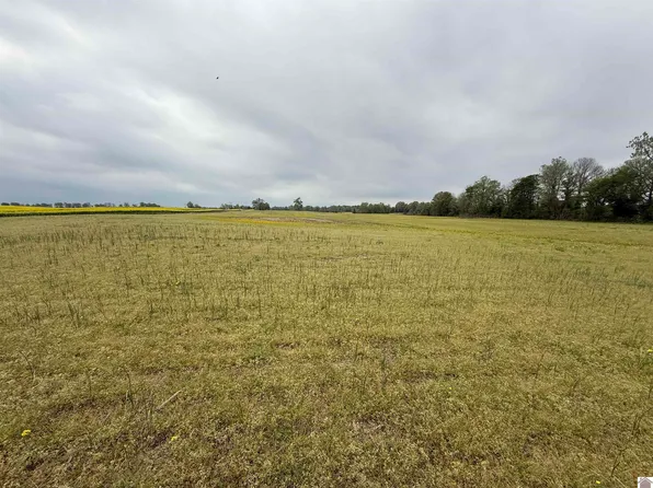 County Road 1305/1306, Bardwell, KY 42023