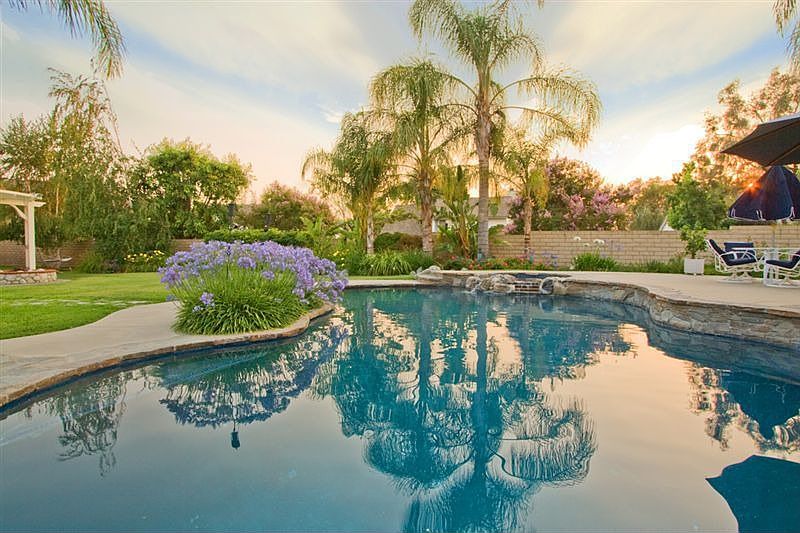 This REALLY is your backyard!