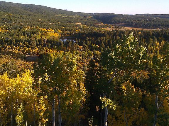 Deck View-North facing