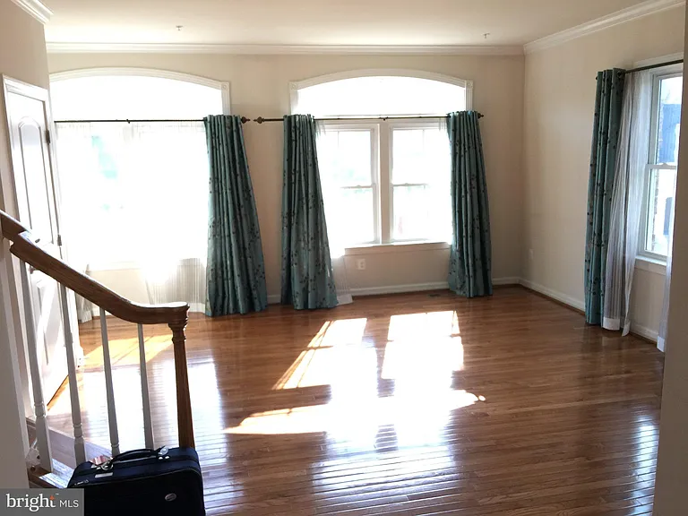 542 Rudbeckia Pl — Photo 8