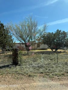 8461 Cochise Cir, Show Low, AZ, 85901
