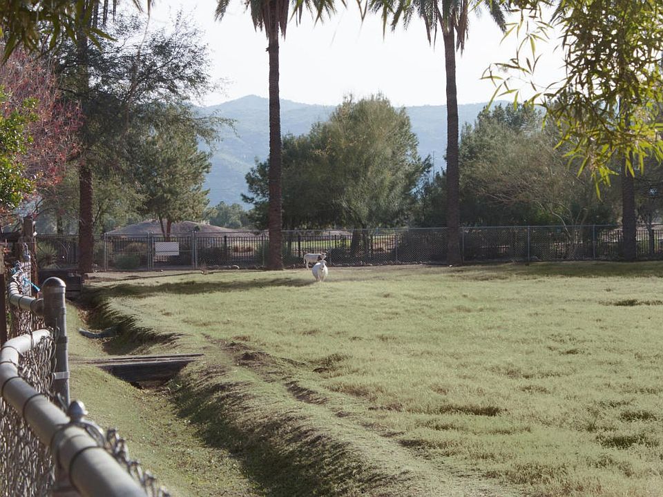 South Phoenix Acreage