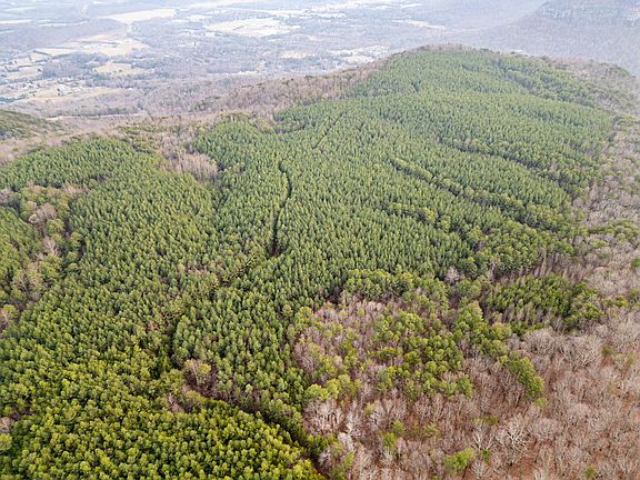 5th image of 029003.00 Smith Mountain Rd