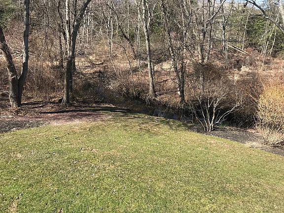 Back Yard 1
