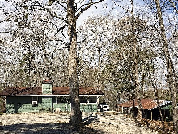 Cozy Cottage nestled n trees