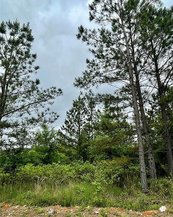 2nd image of 672 Timber Creek Trl