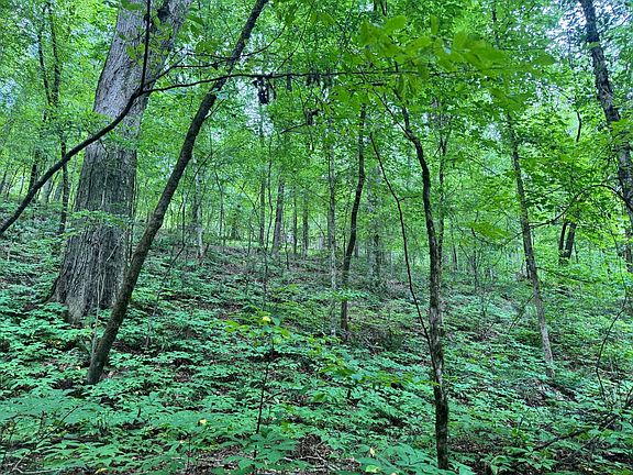 5th image of Johnson Mill Rd