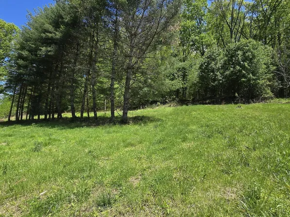 Tracts 1 3 Dooley Hollow Rd, Ewing, VA 24248