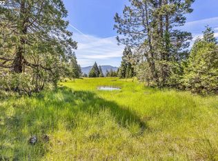 0 Riddle By Pass Rd, Riddle, OR 97469