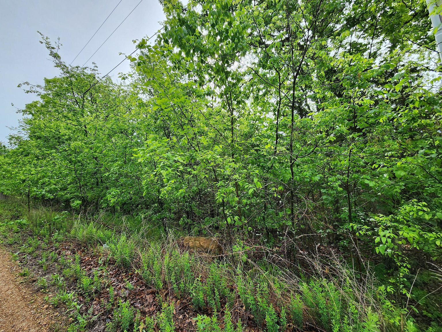 Tract 3 Easy Street, Pittsburg, MO 65724 MLS 60242641 Zillow