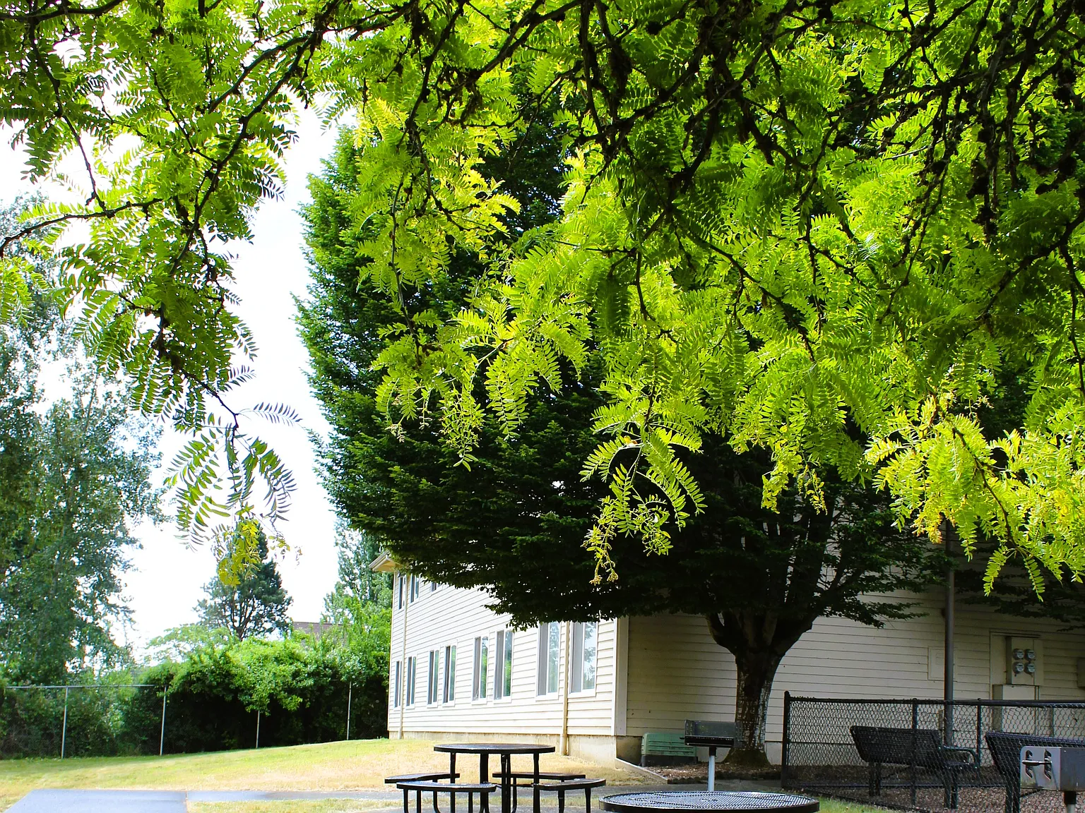 Martin Luther King Jr. Apartments — Photo 4