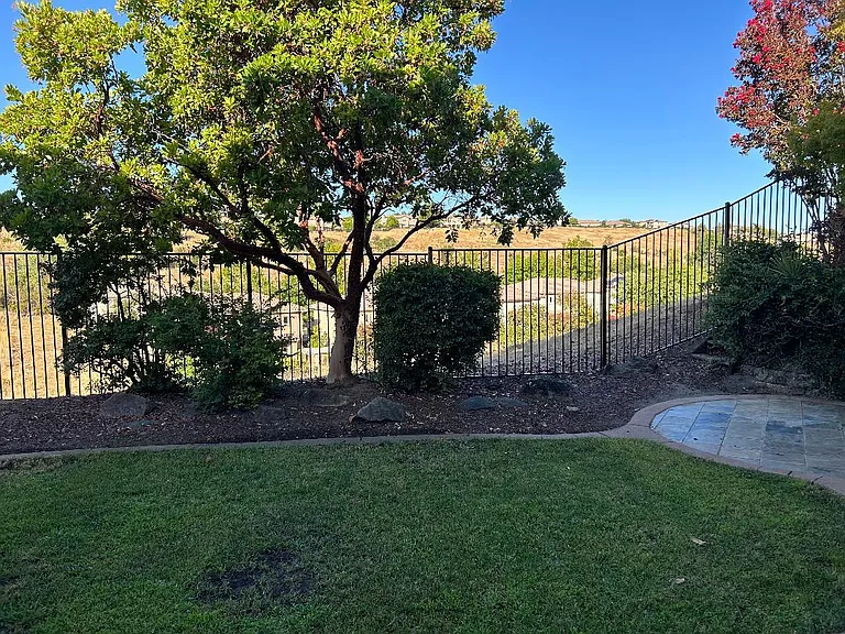 backyard 2