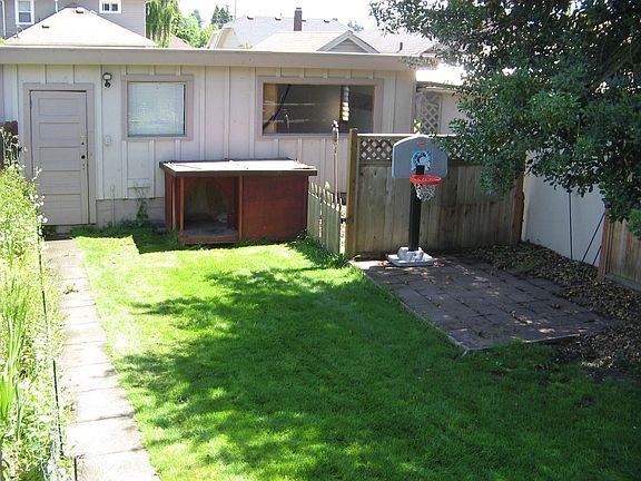 back yard 