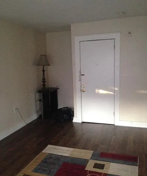 Front door to apartment into living room