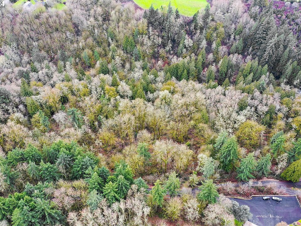 2nd image of NE 18th Ave