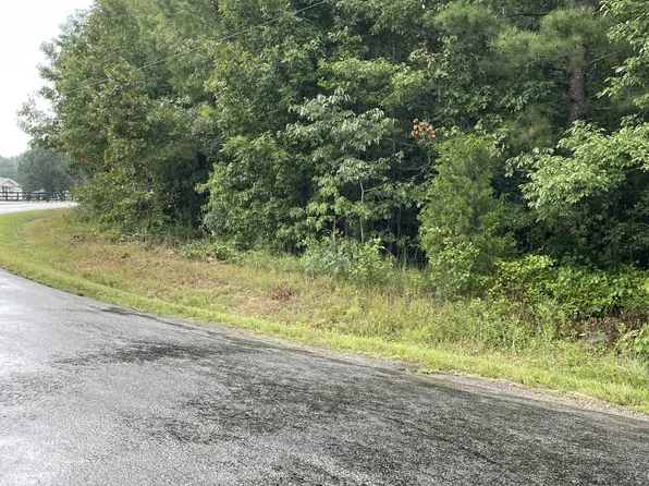 32 Ashmore Rd, Summertown, TN 38483