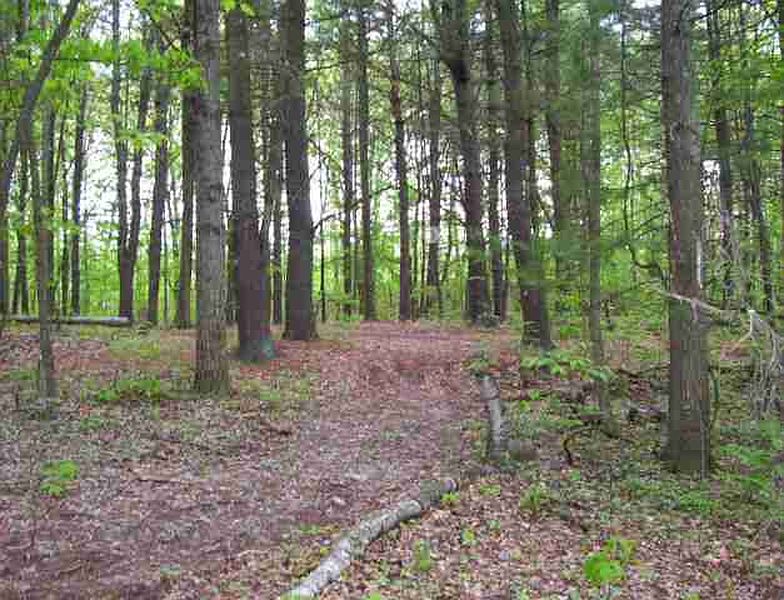5th image of Lot 2 PARADISE LAKE Road