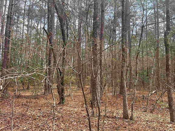 5th image of Silliman Calhoun 14 Rd