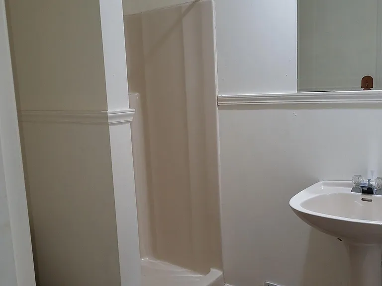 Bathroom in den