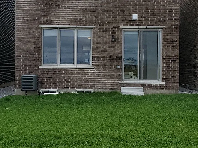 557 Queen Mary Dr — Photo 19
