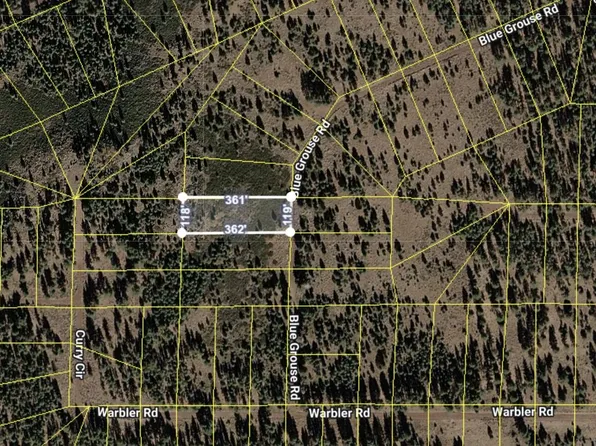 041-521-031 Blue Grouse Rd, Alturas, CA 96101
