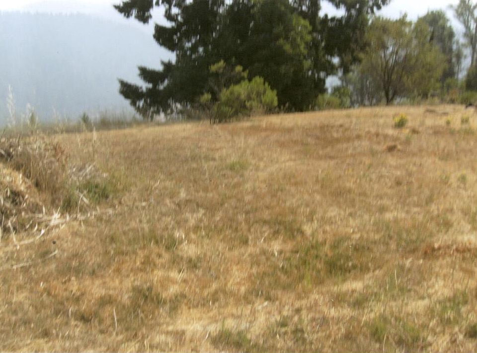 2nd image of 1093 Blue Rock Rd