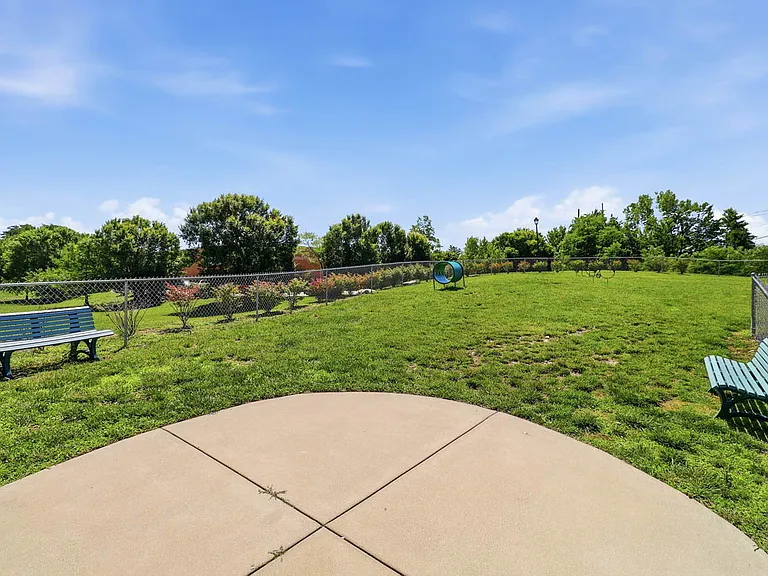 Dog Park