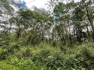 Pikake Rd LOT 205, Pahoa, HI 96778