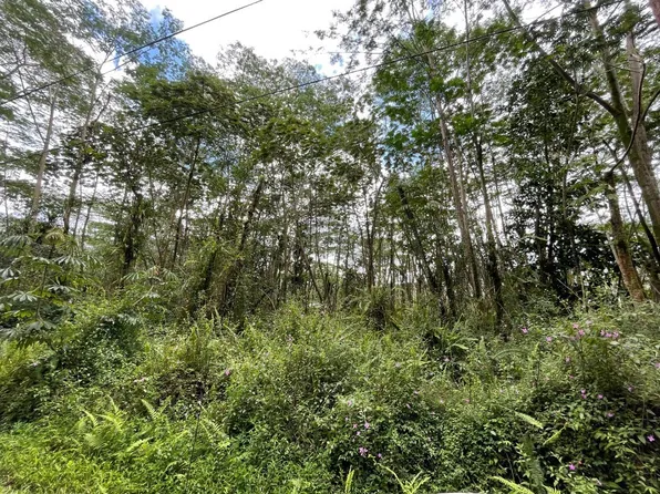 Pikake Rd Lot 205, Pahoa, HI 96778