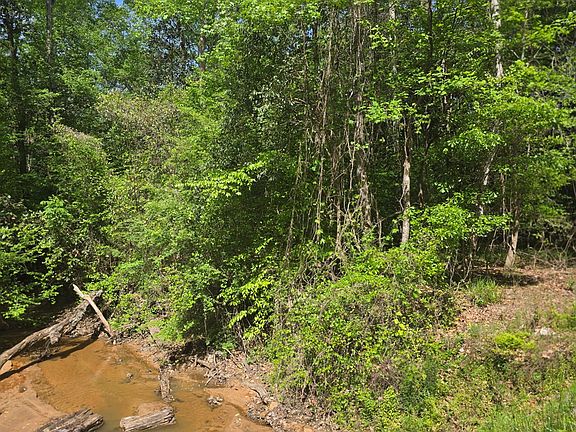 2nd image of 0 W Sandy Dr