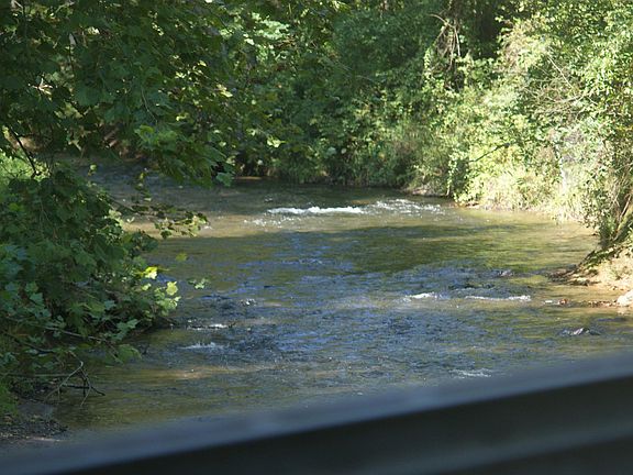 Trout fishing catch and release area