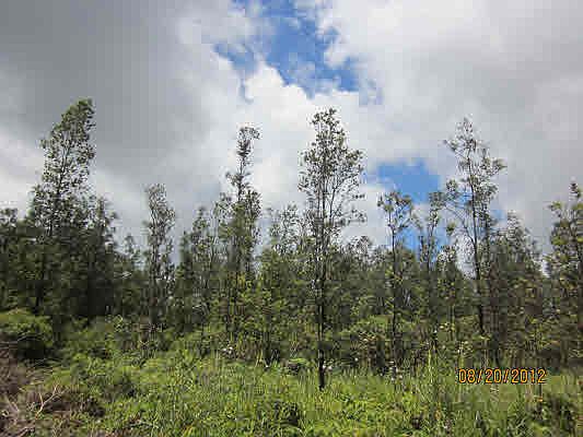 2nd image of Bamboo Dr Lot 58