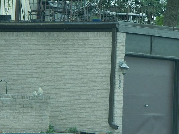 2nd image of 105 Country Club Dr