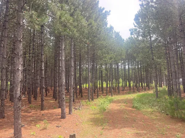 Tbd2 County 2, Nevis, MN 56467