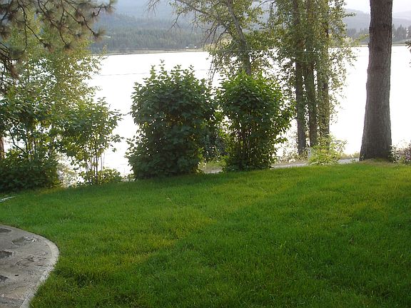 Portion of Front Yard