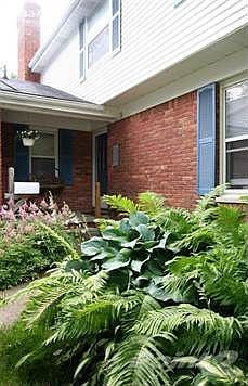 5th image of 11145 Stonybrook Dr