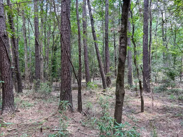 0 County Line Rd, Livingston, TX 77351