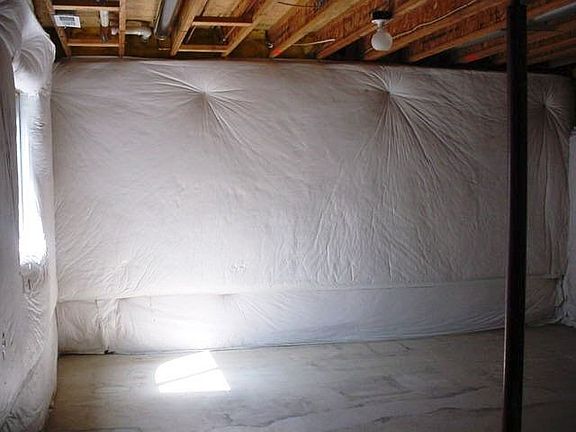 Room to Grow in Unfinished Basement