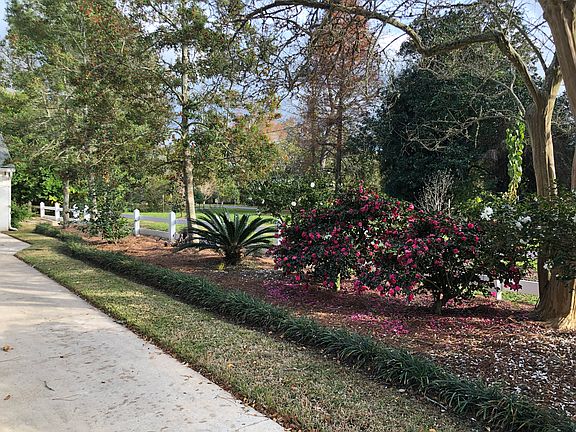 Driveway and green space