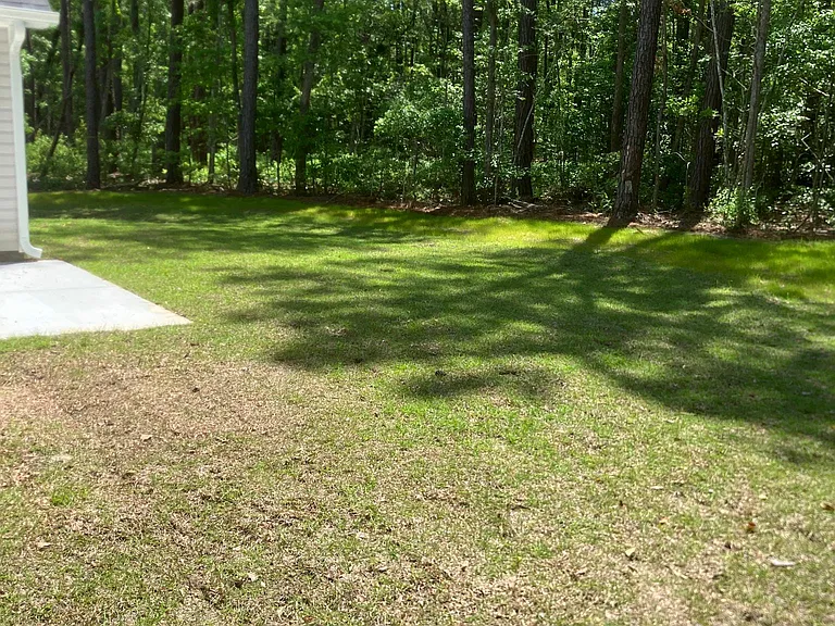 very private heavily wooded back yard. Patio can be seen to the left.