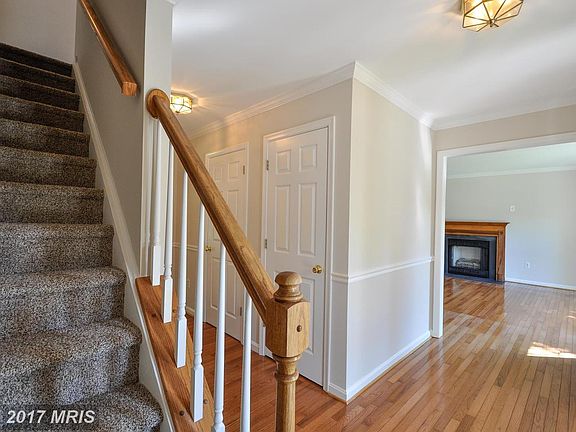 4th image of 4117 Amelia Dr