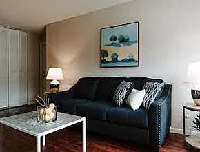 1 bed, 700 sqft, $1,250 — Photo 3