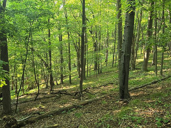 2nd image of W02 State Highway 64