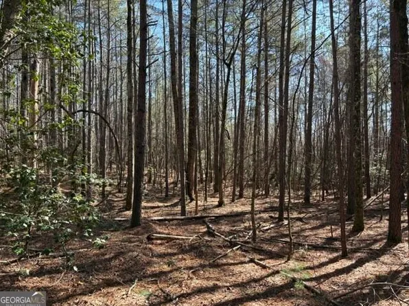 343 Hank Fry Rd, Clarkesville, GA 30523