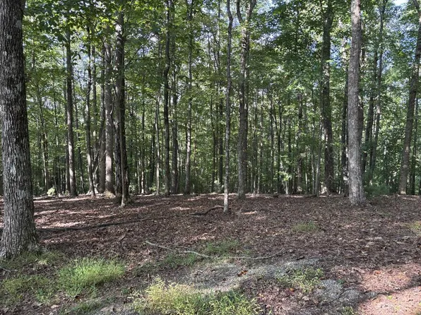 LOT 11 Cove Ln, Woodlawn, VA 24381