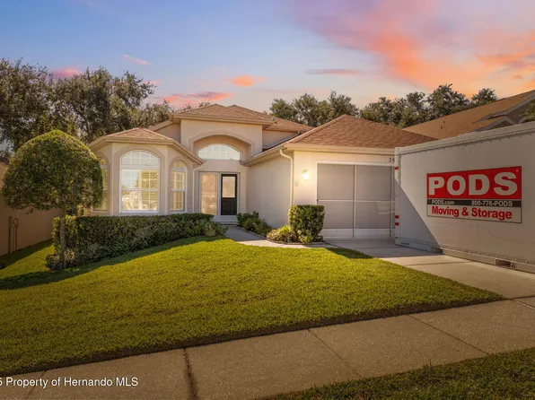 283 Quane Ave, Spring Hill, FL 34609