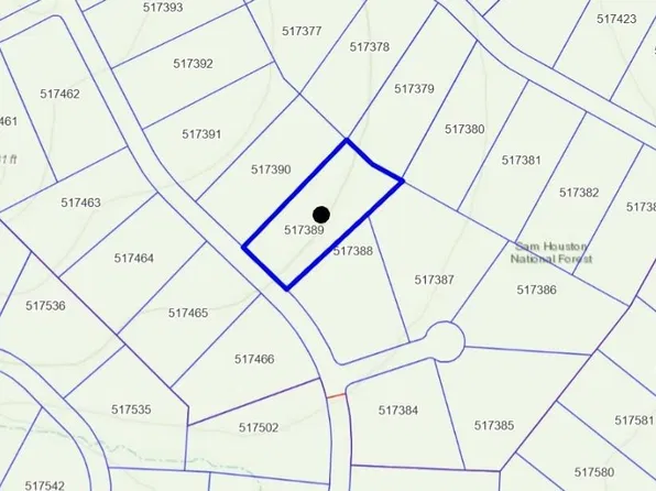 15774 Wooded Trail Way, Willis, TX 77378
