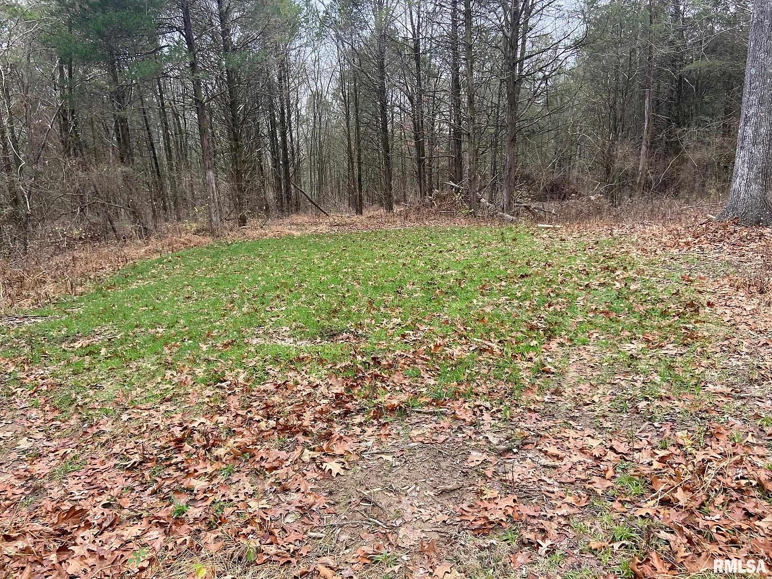 808 Chapman Ln, Goreville, IL 62939 MLS EB446574 Zillow